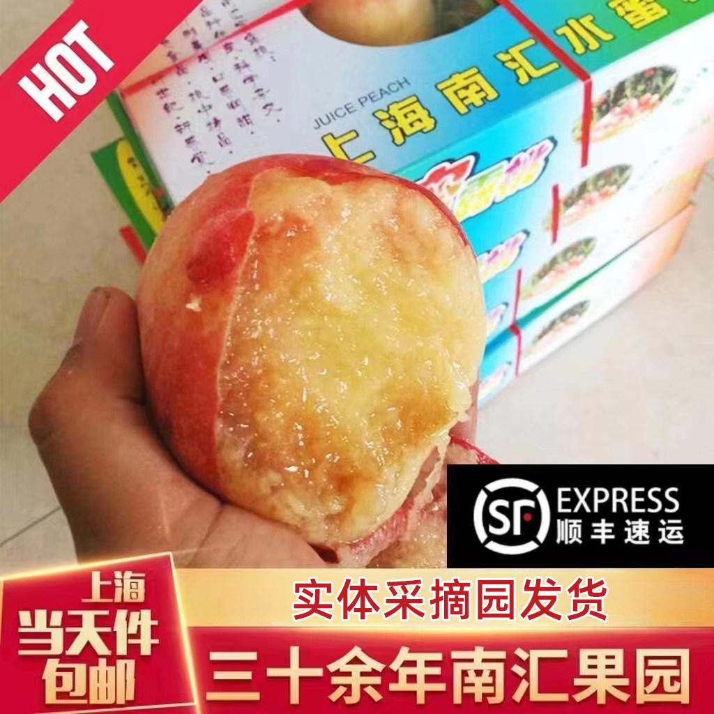 南汇水蜜桃桃侬桃业12个