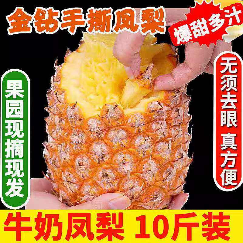 助农海南金钻凤梨10斤当