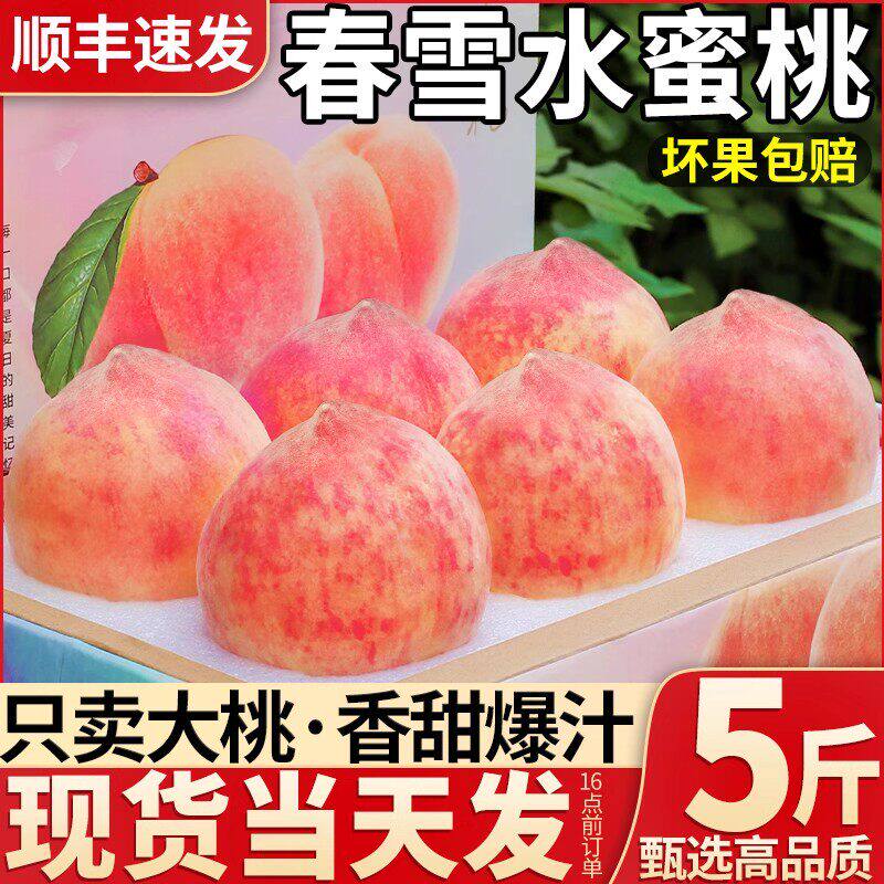 正宗宁波奉化水蜜桃新鲜湖景玉露现摘大果现发软桃子新鲜水果顺丰