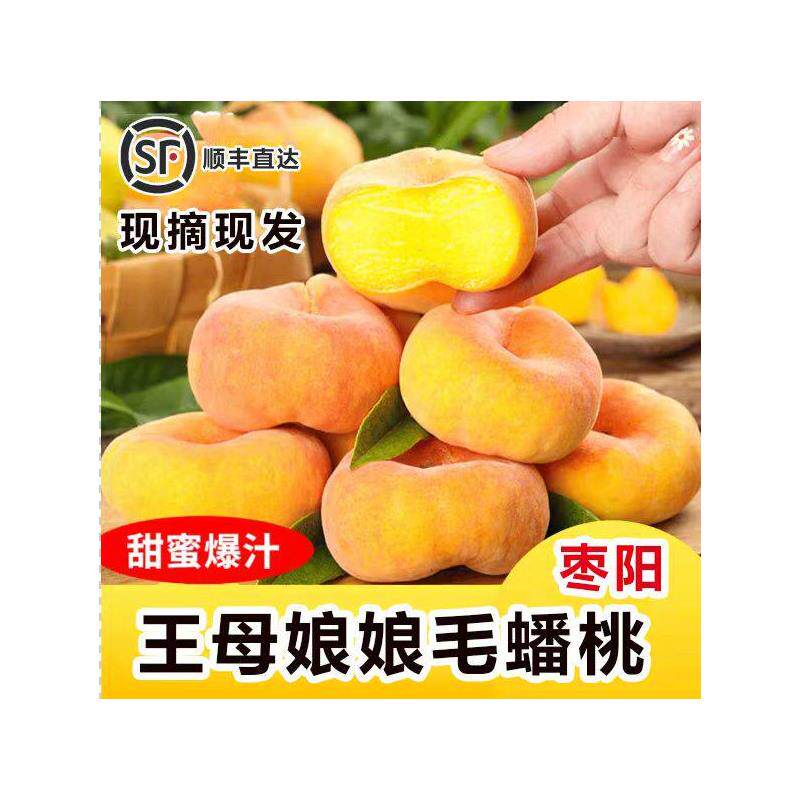 枣阳毛蟠桃现摘现发当季