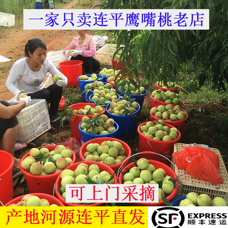 【发顺丰】广东河源连平