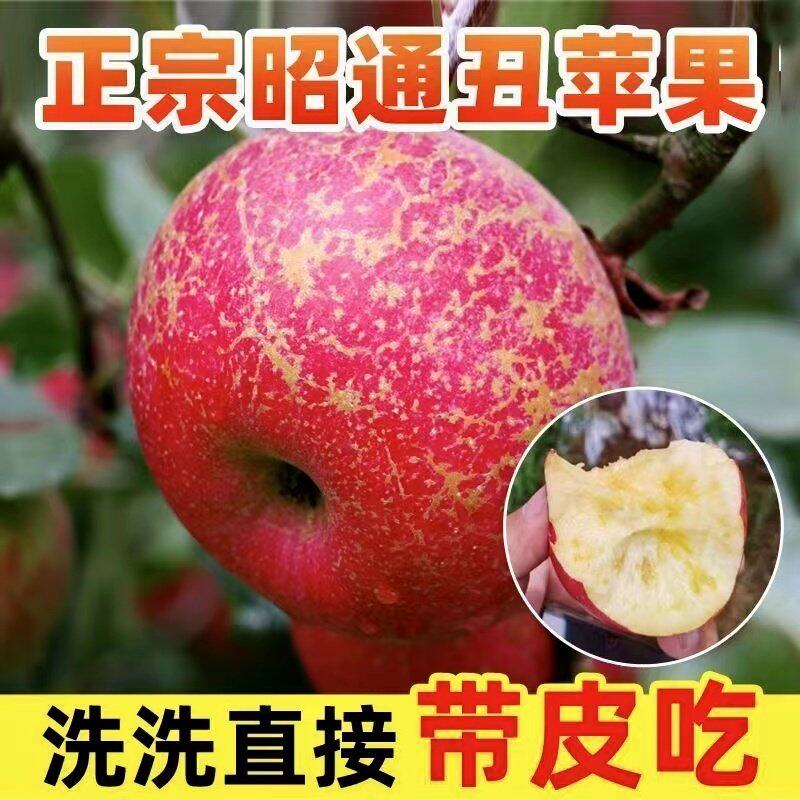 云南昭通糖心丑苹果基地