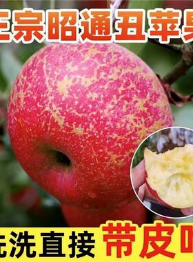 云南昭通糖心丑苹果基地