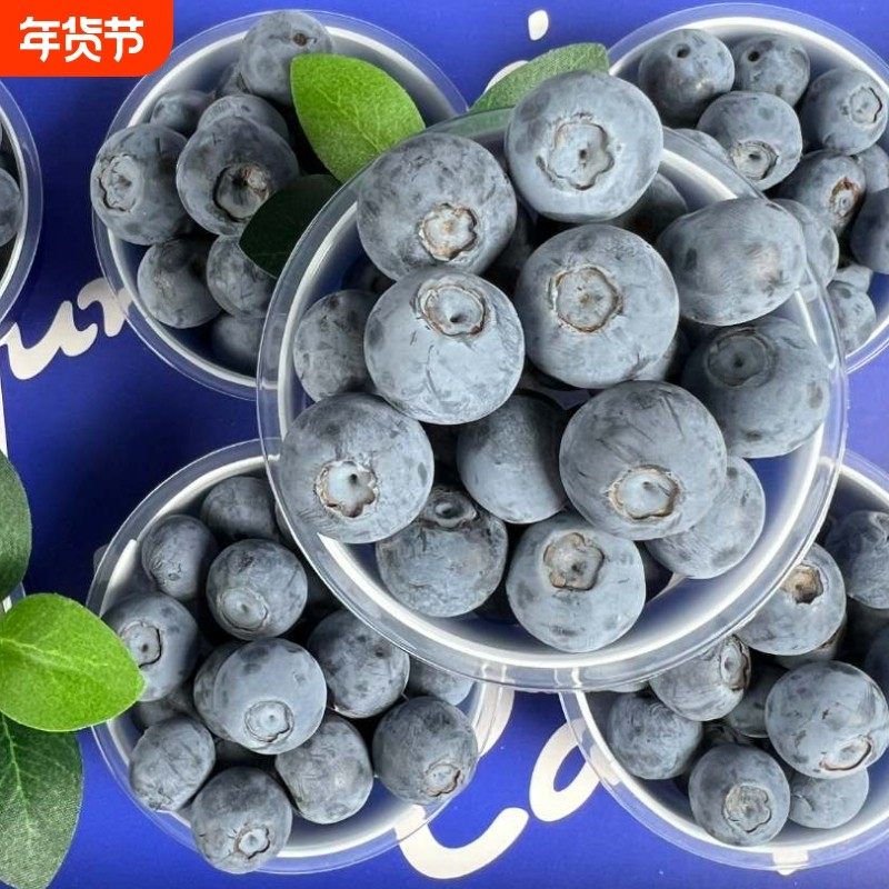 顺丰空运云南花香高山蓝莓大蓝杯礼盒装新鲜果水果大果巨无霸现摘,包装,水果包装,淘宝优惠券,粉丝福利购,淘宝优惠卷