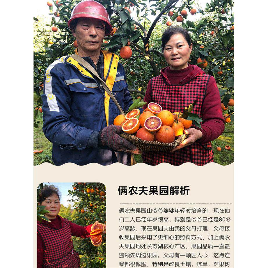 重庆长寿湖俩农夫自家果园血脐血橙新鲜当季水果宝妈孕妇现摘现发