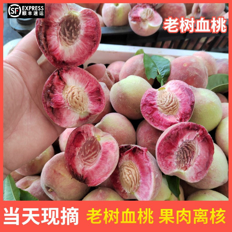 【顺丰包邮】2026新鲜血桃生鲜桃子当季红桃胭脂红桃雪桃五月桃