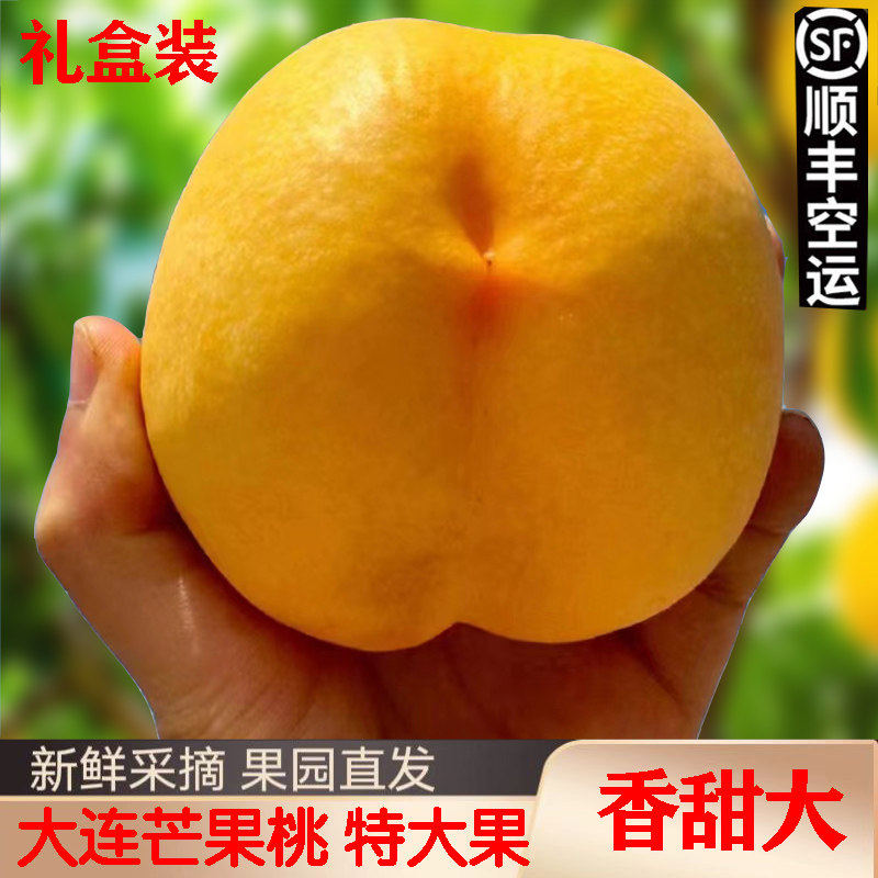 现摘黄油桃大连黄金芒果桃新鲜水果整箱果王特大果孕妇水果礼盒顺