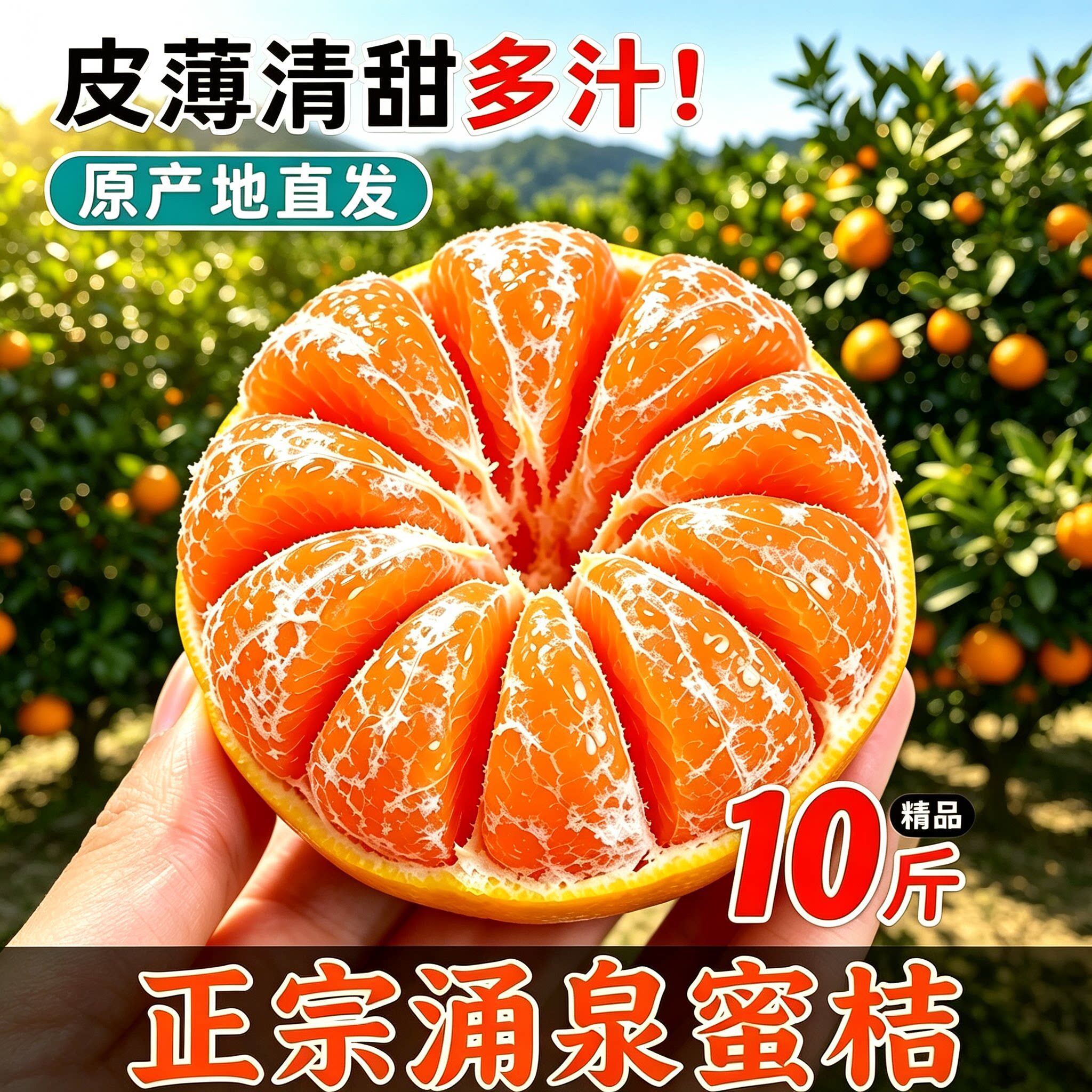 正宗台州涌泉蜜桔临海桔子5斤10斤整箱当季新鲜水果浙江黄岩橘子