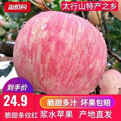 红富士新鲜水果河北邢台浆水苹果整箱农家应季水果装脆甜苹果