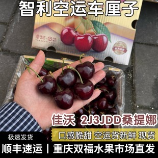 佳沃智利空运车厘子2J3JDD桑提娜品种黑车孕妇儿童水果重庆双福