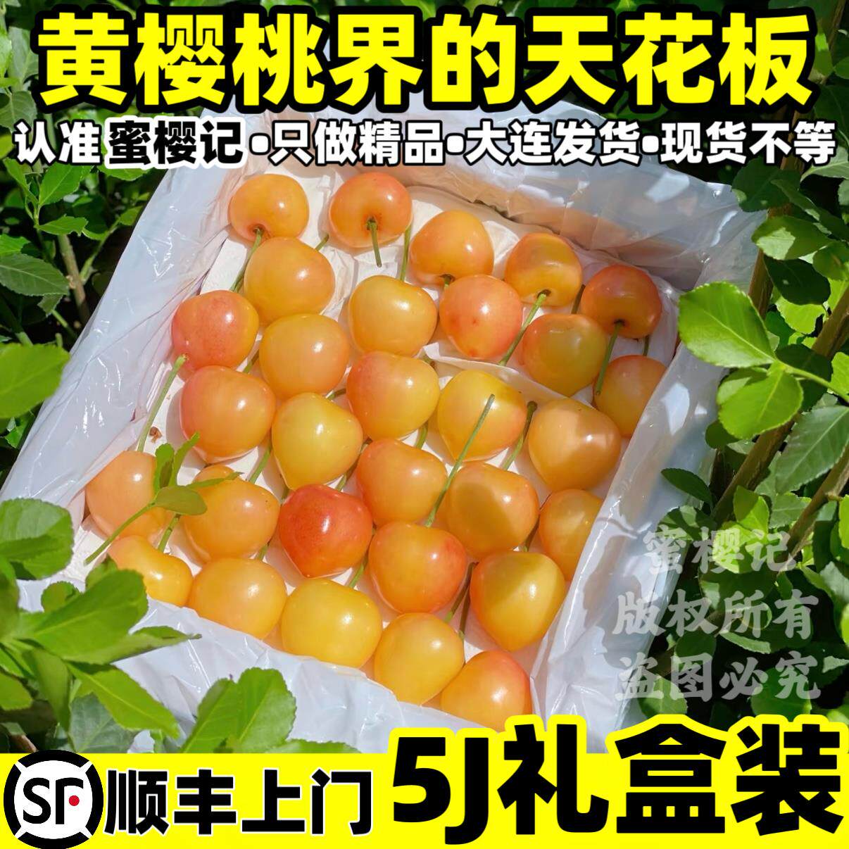 蜜樱记大连黄水晶雷尼尔