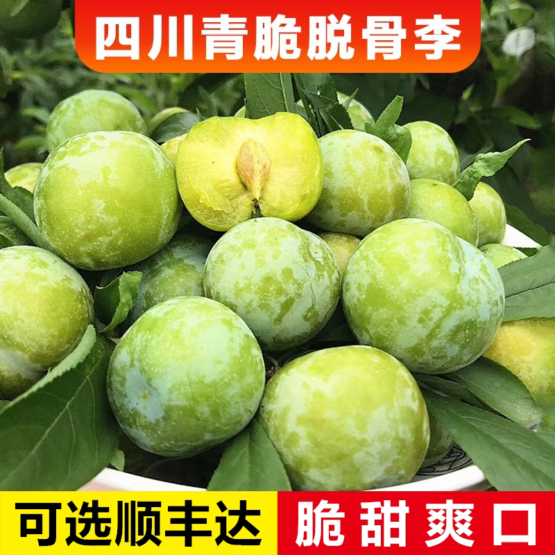 四川晚熟脱骨青脆李子新鲜孕妇酸甜汶川水果红巫山当季江安空心李