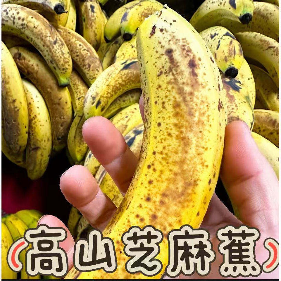 云南高山香蕉老品种甜糯