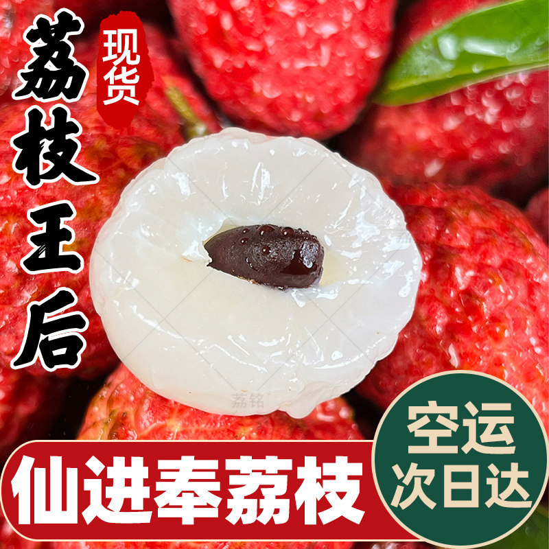 【顺丰】广东仙进奉荔枝5