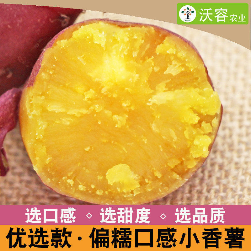 糯口感小香薯临安天目山新鲜红薯流糖黄心无筋榴莲山芋蜜薯地瓜