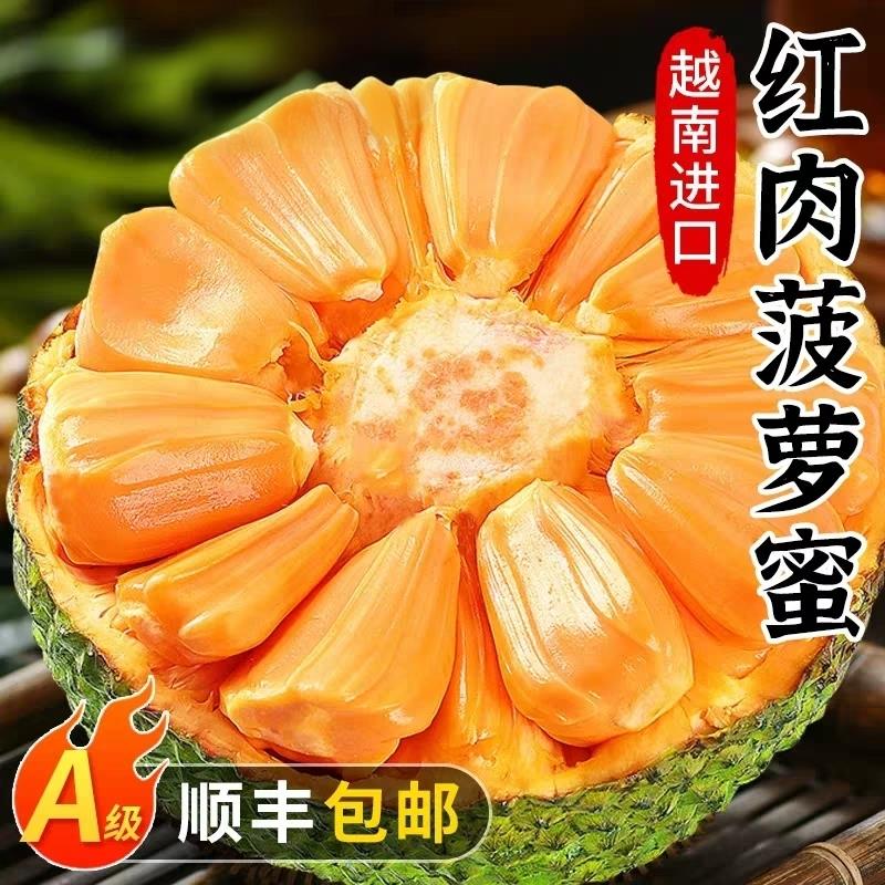 进口越南黄肉菠萝蜜新鲜水果顺丰包邮黄肉热带当季一整个