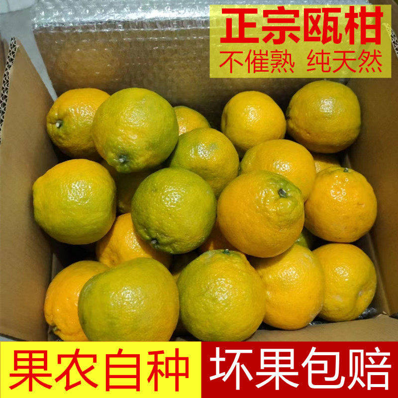 正宗瓯柑苦柑温州丽水特产农家自种苦橘欧柑当季孕妇水果丑橘5斤