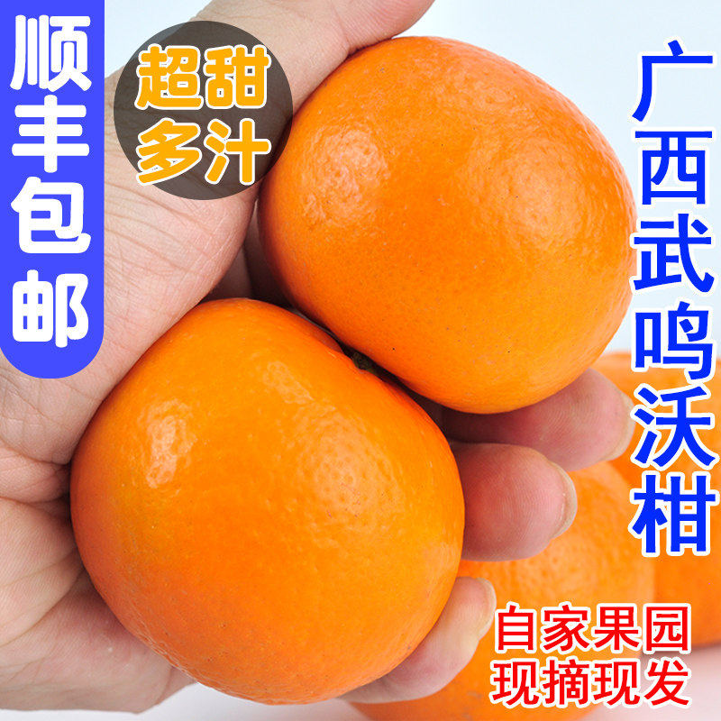 广西武鸣沃柑一级纯甜新