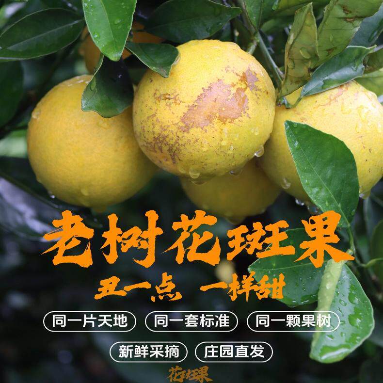 庄园花斑果5公斤云南冰糖橙新鲜水果橙子老树果纯甜不酸基地直发