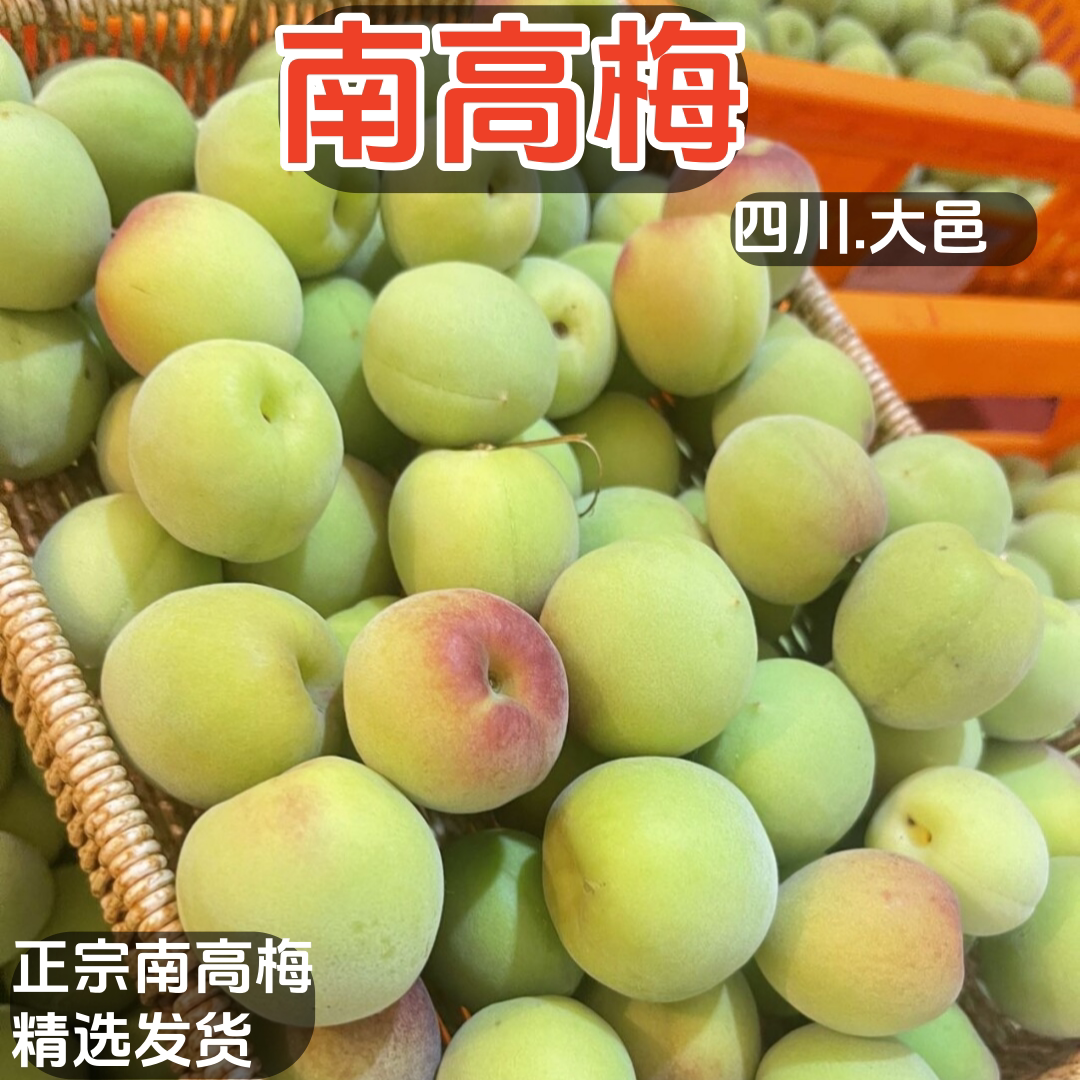 正宗南高梅四川大邑南高青梅泡酒酵素专用高山酸梅子精选5斤