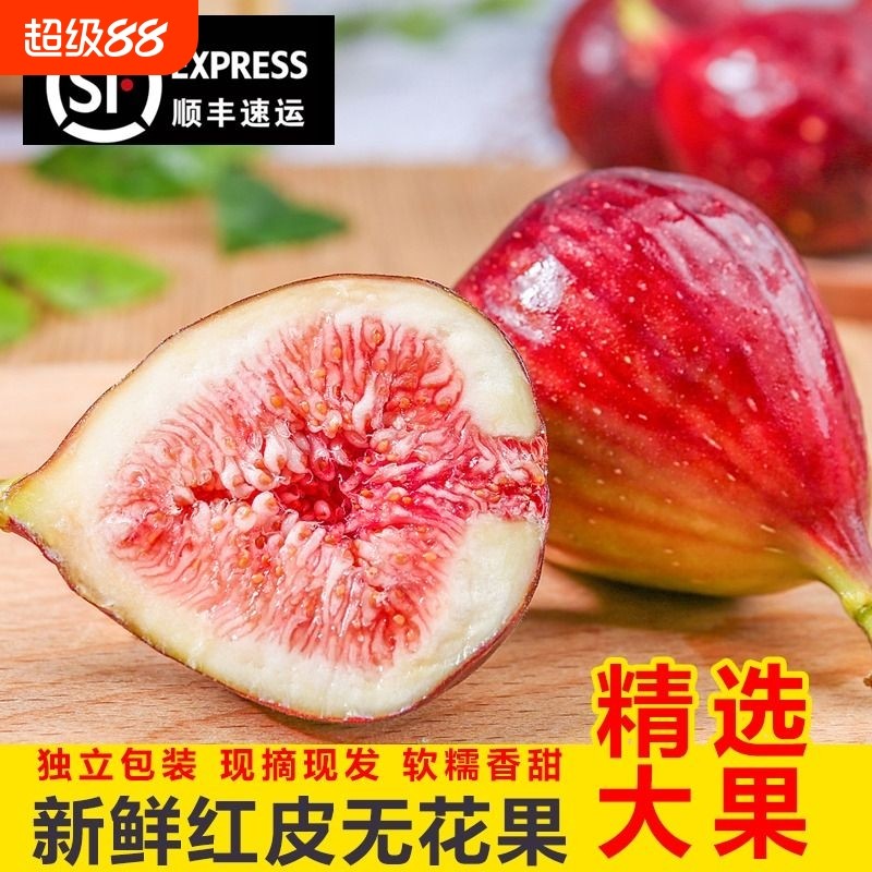 顺丰包邮 红皮无花果新鲜5斤现摘现发大果孕妇鲜果当季水果非青皮
