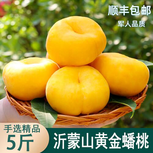 黄金蟠桃新鲜水果整箱蒙