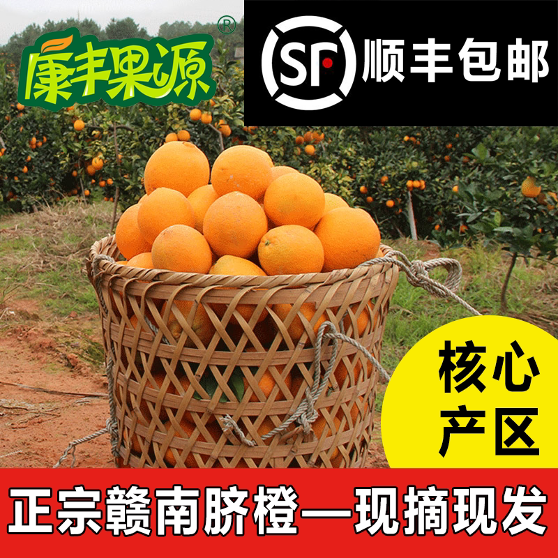 20斤精品赣南脐橙信丰安西脐橙精品果橙子果园直发甜橙子