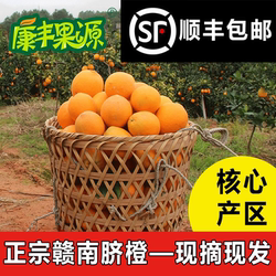 20斤精品赣南脐橙信丰安西脐橙精品果橙子果园直发甜橙子