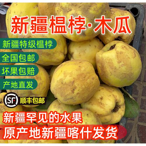 25年新鲜榲桲新疆特色温