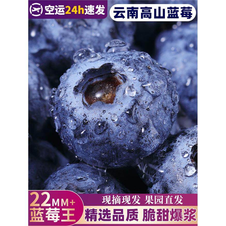 云南高山蓝莓鲜果当季怡颗蓝莓高山L25花香新鲜水果现摘整箱顺丰3,包装,水果包装,淘宝优惠券,粉丝福利购,淘宝优惠卷
