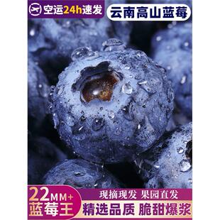 云南高山蓝莓鲜果当季怡颗蓝莓高山L25花香新鲜水果现摘整箱顺丰3