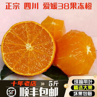 四川爱媛38果冻橙大果甜橙橙子新鲜水果红美人橘伯乐柑橘橘子礼盒