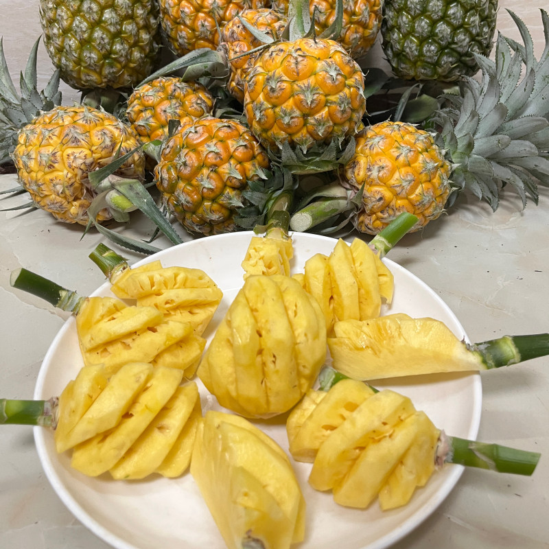 正宗中山神湾菠萝新鲜甜脆可口香甜小菠萝新鲜采摘3斤包邮送刀