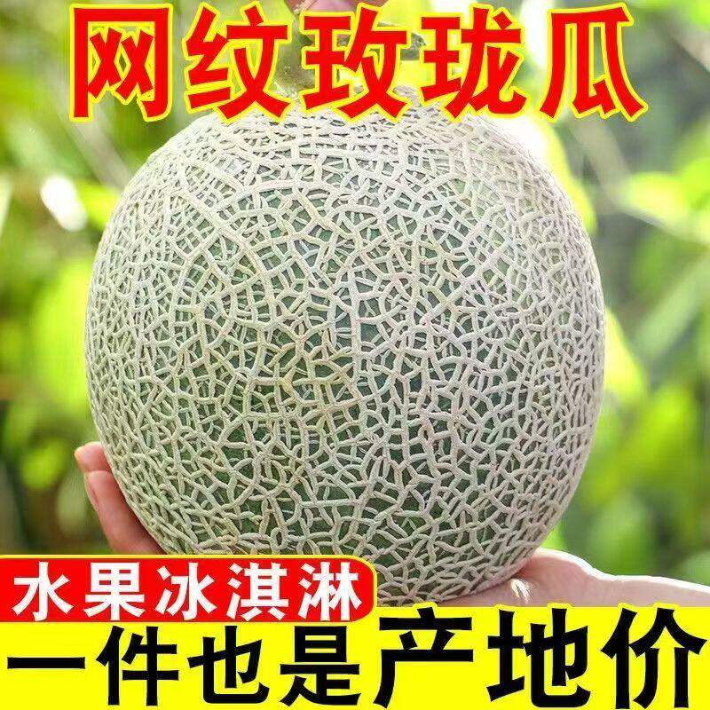 海阳网纹瓜蜜冰淇淋哈密