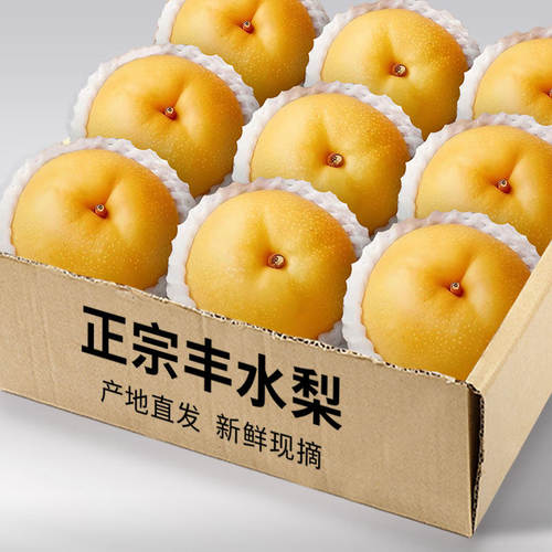 正宗山东丰水梨水果梨子
