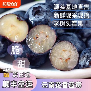 云南蓝莓鲜果新鲜高端当季水果现摘大果高山25花香孕妇整箱空运