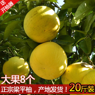 重庆梁平龙滩柚新鲜水果平顶柚白心农家老树正宗梁平柚子20斤装