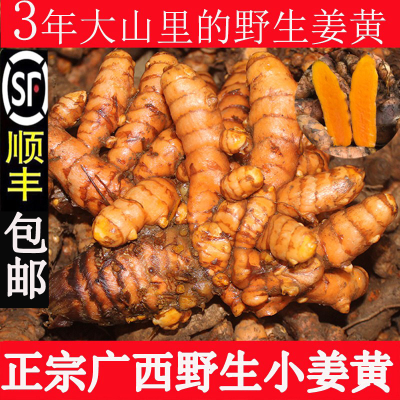 广西野生小姜黄新鲜红姜