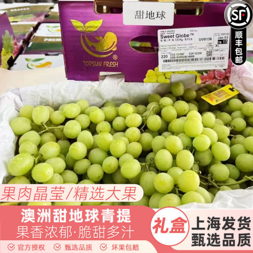 澳洲甜地球青提子绿葡萄