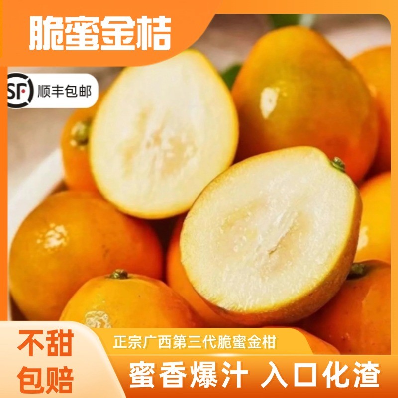 脆蜜金柑-顺丰空运广西新鲜应季爆汁纯甜金桔橘子第三代脆蜜金桔