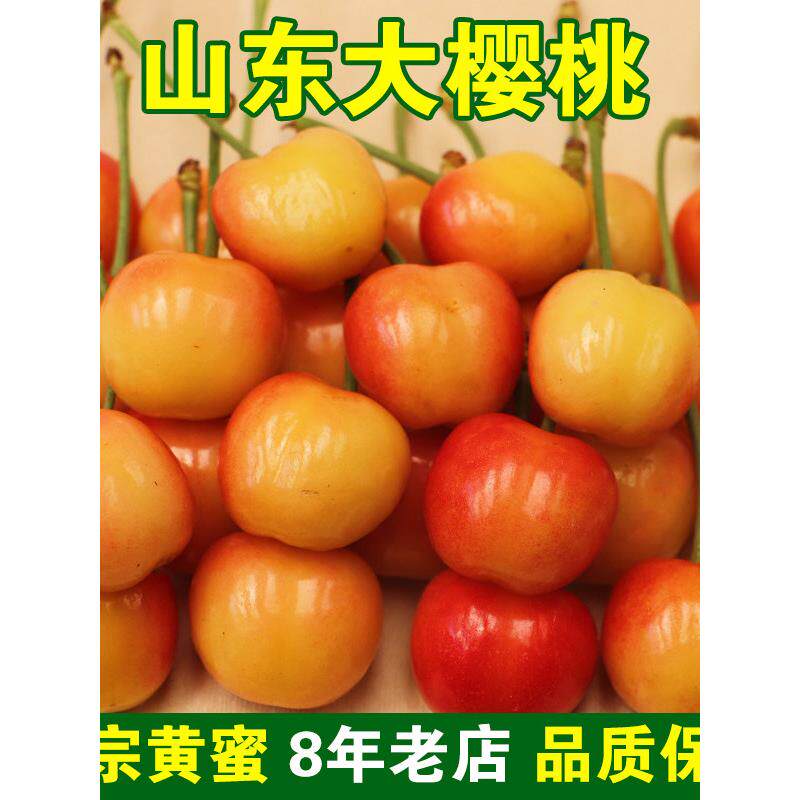 正宗黄蜜红水晶山东烟台