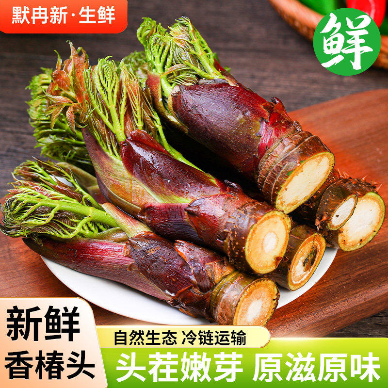 【现货】新鲜刺香椿500g