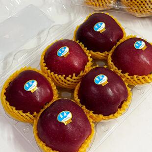 雪原蛇果苹果6粒装酥甜多汁黄土高原高海拔甘肃红蛇果顺丰包邮