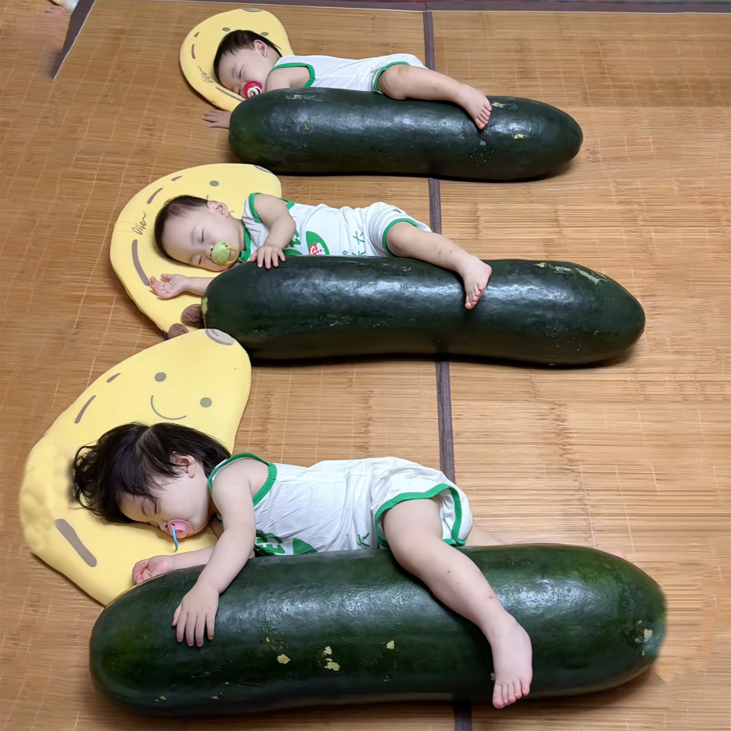 超大巨型冬瓜青皮降暑整
