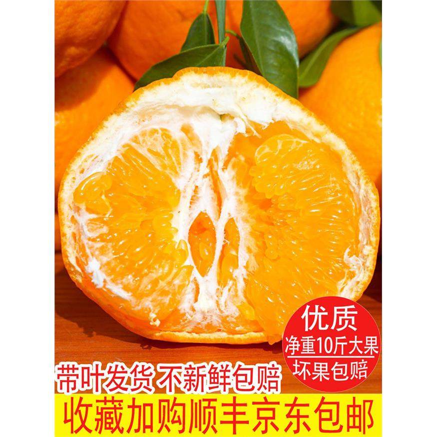 正宗四川春见耙耙柑10斤特级应当季新鲜孕妇水果杷杷粑粑柑橘丑桔,包装,水果包装,淘宝优惠券,粉丝福利购,淘宝优惠卷