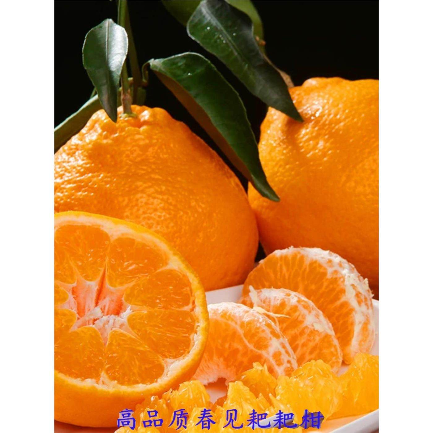 顺丰四川特级春见耙耙柑正宗粑粑柑当季新鲜水果杷杷橘甜10斤大果,包装,水果包装,淘宝优惠券,粉丝福利购,淘宝优惠卷