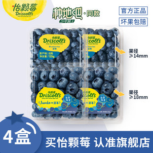 【种地吧同款】Driscoll's怡颗莓云南蓝莓新鲜应季水果中大果125g