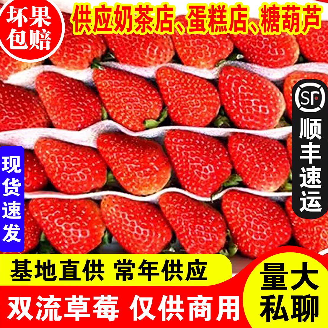 现货新鲜草莓4盒装烘培蛋糕点缀同城水果四季双流满2盒江浙沪包邮