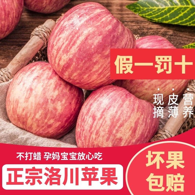 正宗洛川红富士苹果【净重4.5斤】应当季新鲜水果纯甜大果5A品质