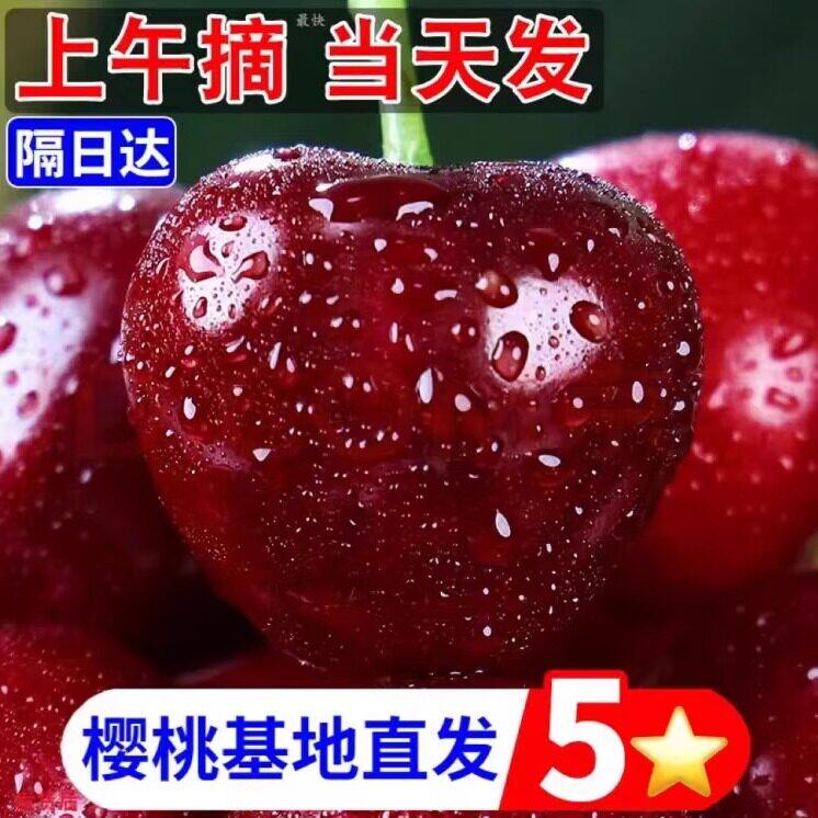 大连美早大樱桃国产车厘